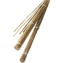 2,1m Bambus Stöcke (10er-Pack)